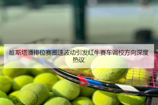 维斯塔潘排位赛圈速波动引发红牛赛车调校方向深度热议